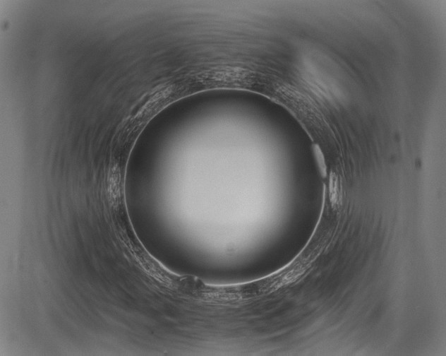 X0000084001107200702161125
