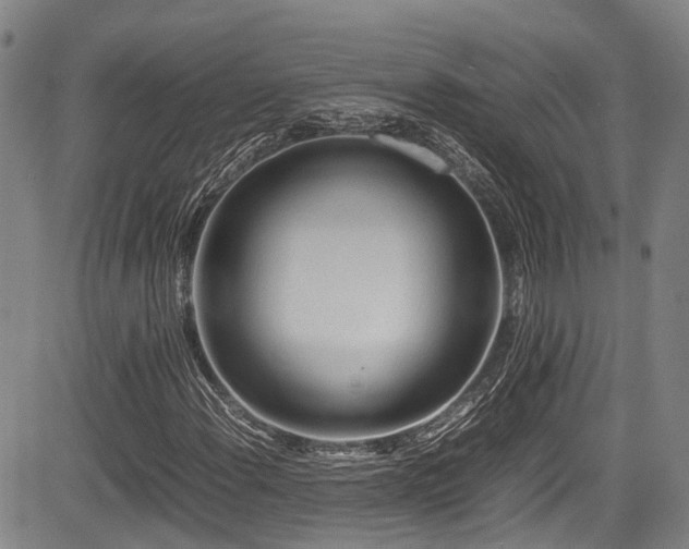 X0000084001108200702161125