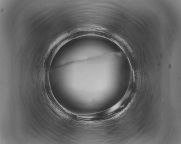 X0000084001114200702161126
