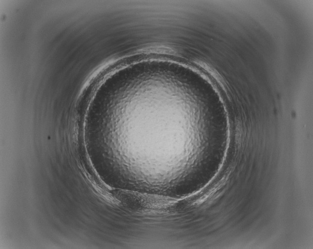 X0000084001115200702161126