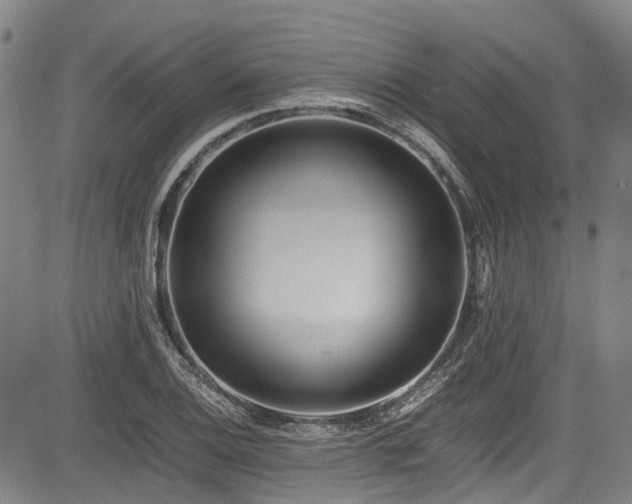 X0000084001124200702161126