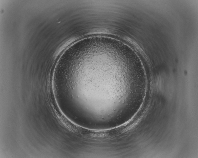 X0000084001129200702161126
