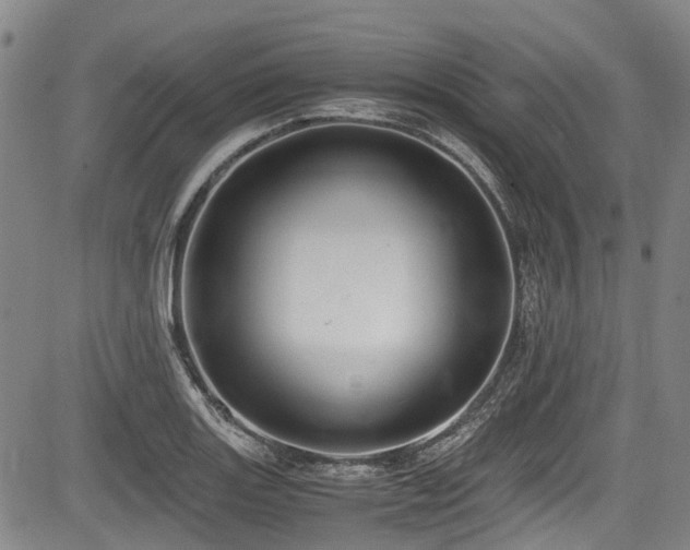 X0000084001131200702161126