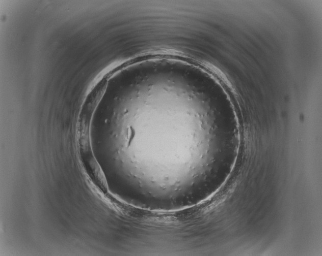 X0000084001133200702161126