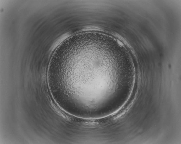 X0000084001137200702161126