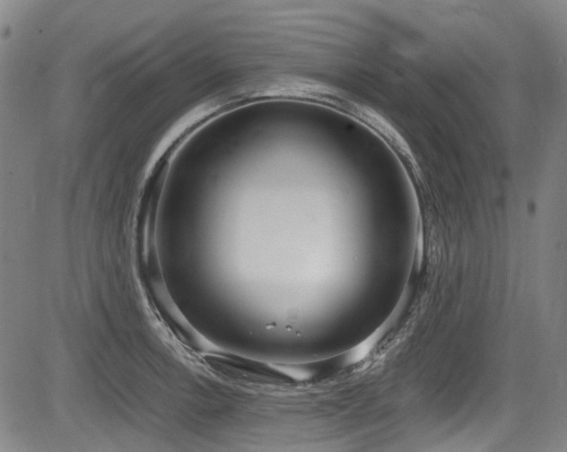 X0000084001138200702161126