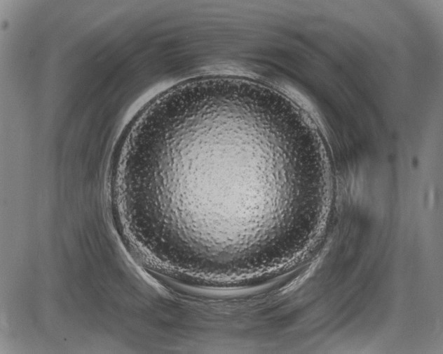 X0000084001141200702161126