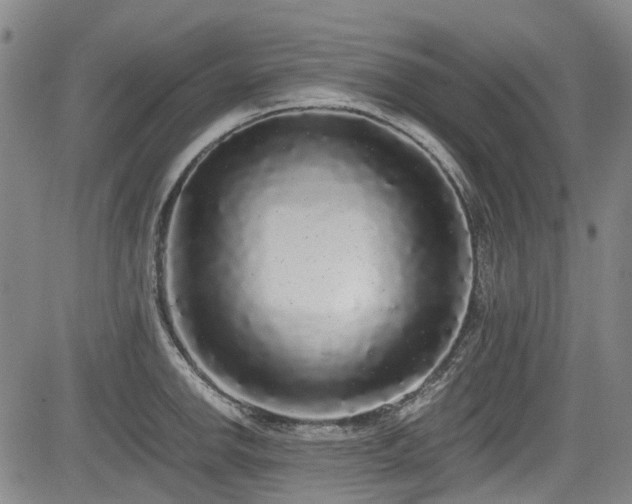 X0000084001142200702161126