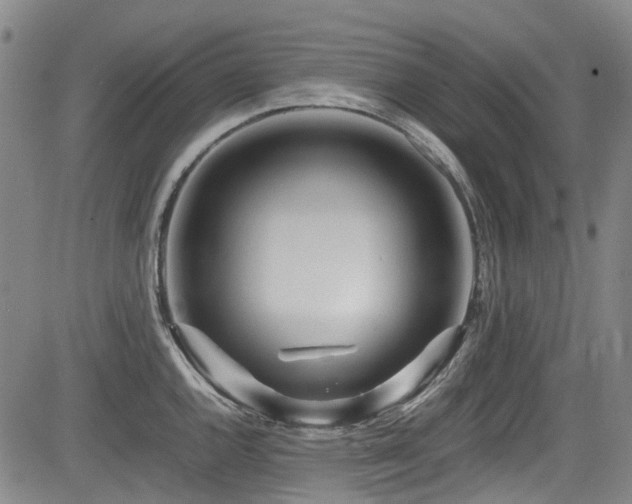 X0000084001144200702161126