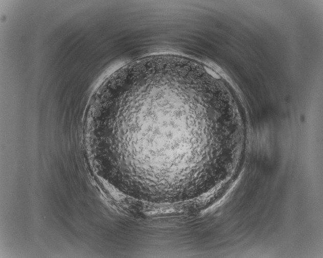 X0000084001145200702161126
