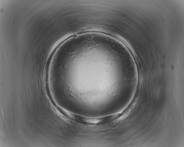 X0000084001149200702161126