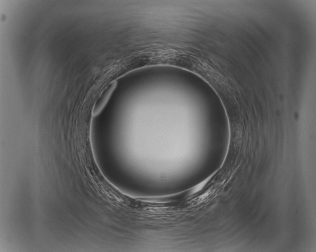 X0000084001153200702161125