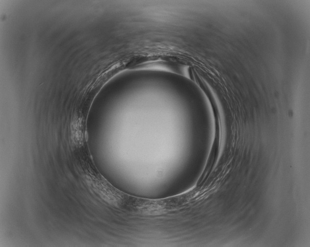 X0000084001156200702161125