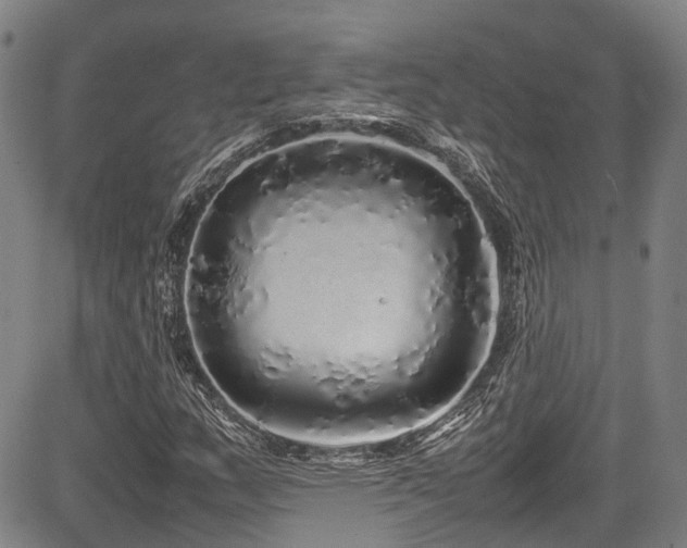 X0000084001159200702161125