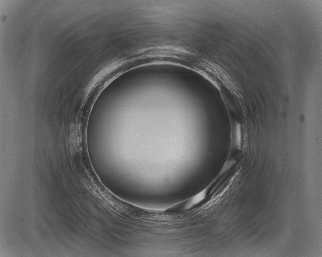 X0000084001164200702161125