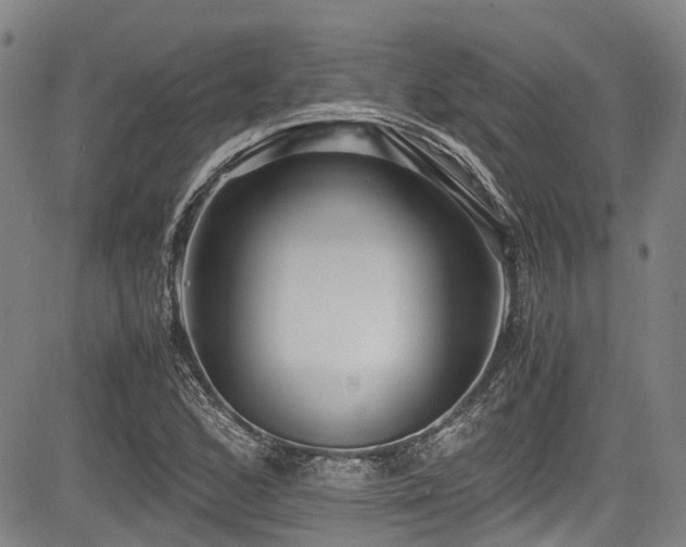 X0000084001168200702161125