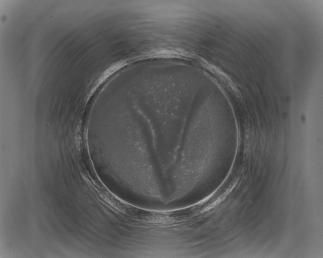 X0000084001170200702161125