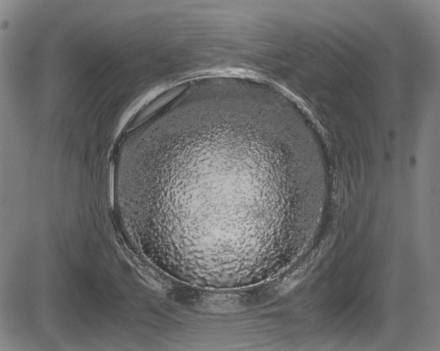 X0000084001171200702161125