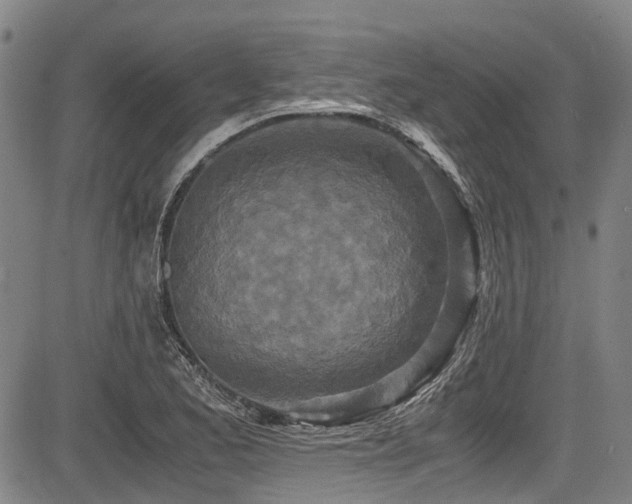 X0000084001173200702161125