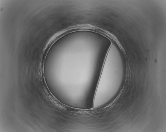 X0000084001176200702161125