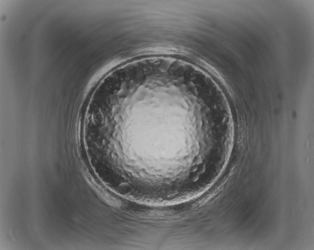 X0000084001179200702161125
