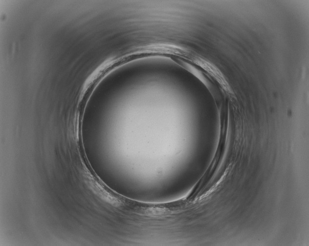 X0000084001180200702161125