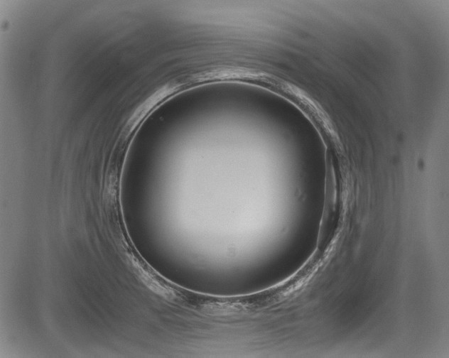 X0000084001185200702161125