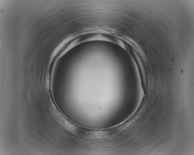 X0000084001188200702161125