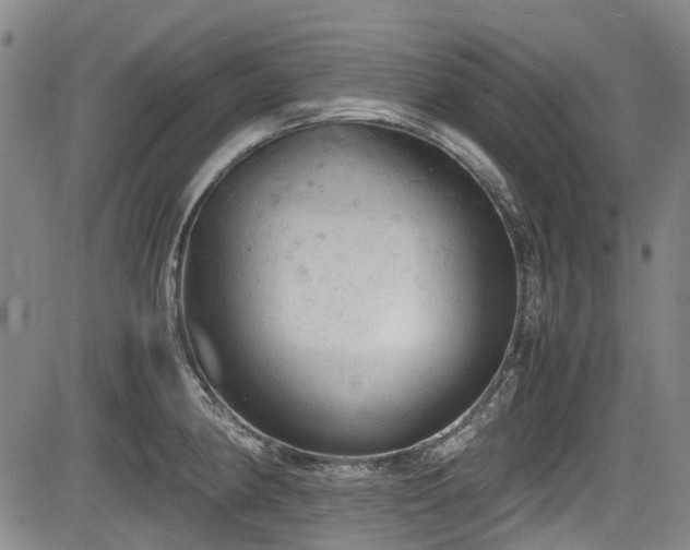 X0000084001190200702161125