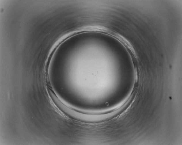 X0000084001192200702161125
