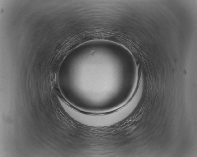 X0000084001202200702161124
