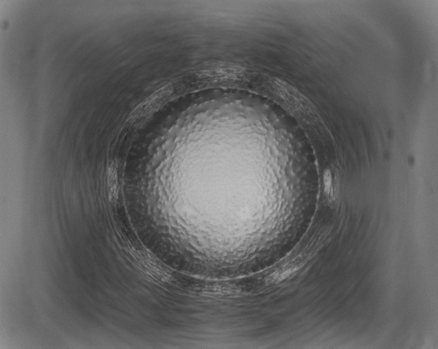 X0000084001203200702161124
