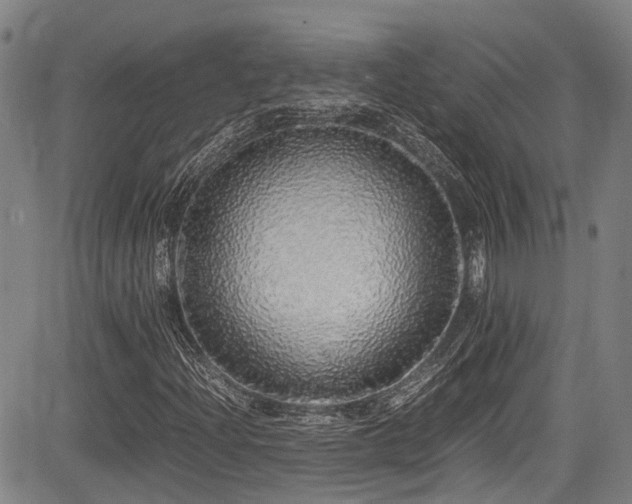 X0000084001204200702161124