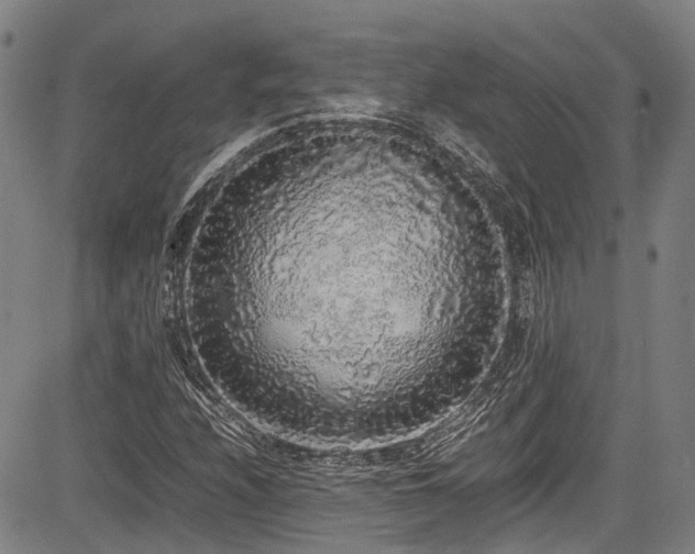 X0000084001208200702161124