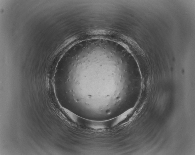 X0000084001209200702161124