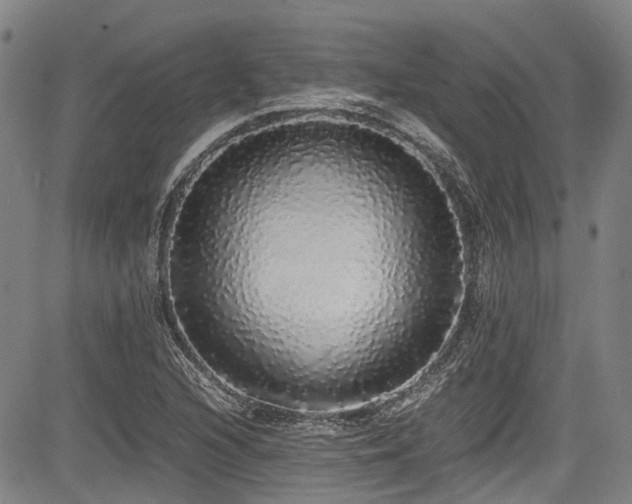 X0000084001216200702161124