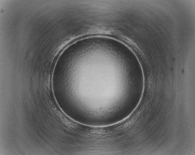 X0000084001220200702161124