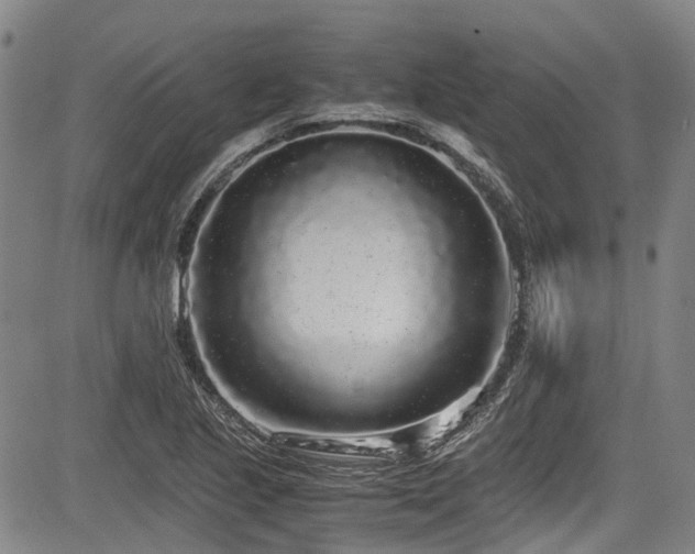 X0000084001221200702161124