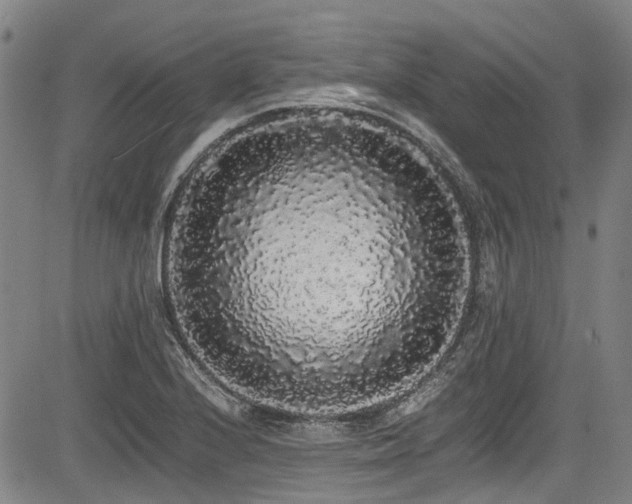 X0000084001224200702161124