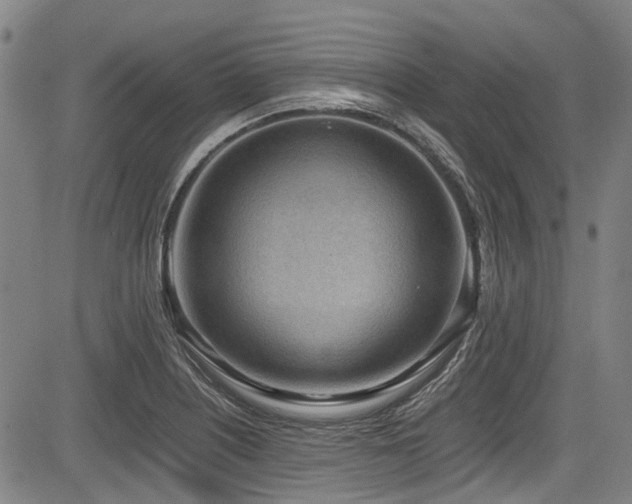 X0000084001226200702161124