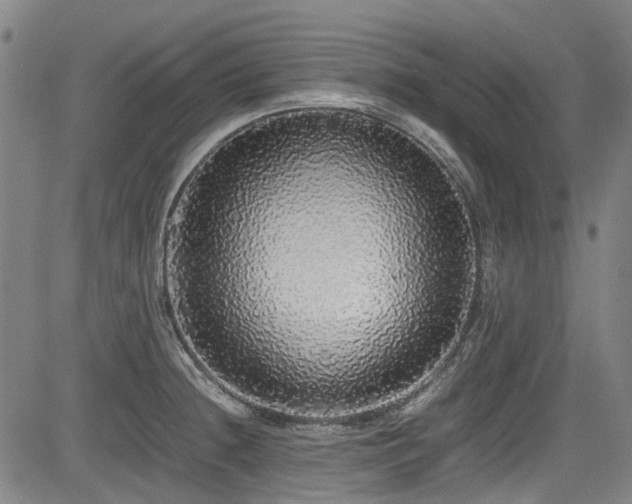 X0000084001236200702161124