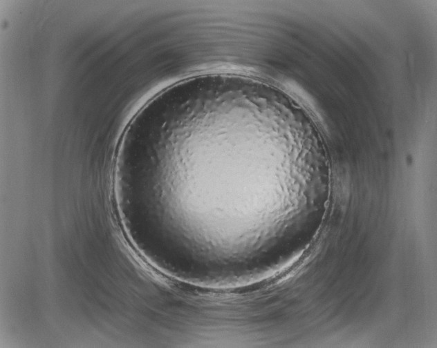 X0000084001244200702161125