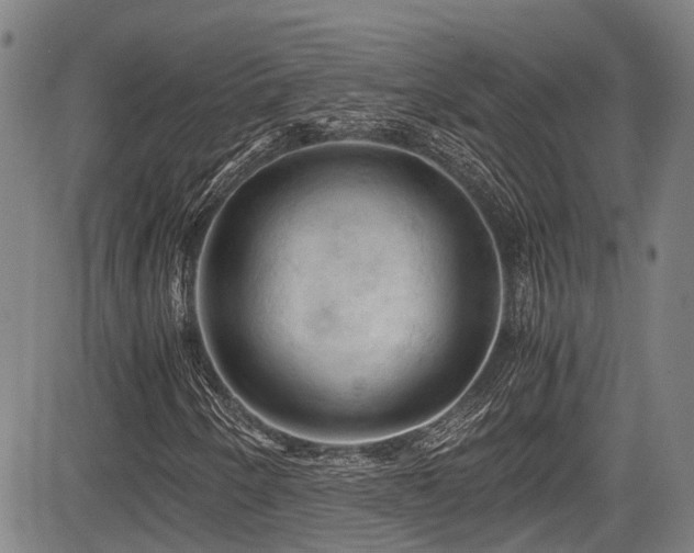 X0000084001250200702161124