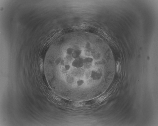 X0000084001251200702161124