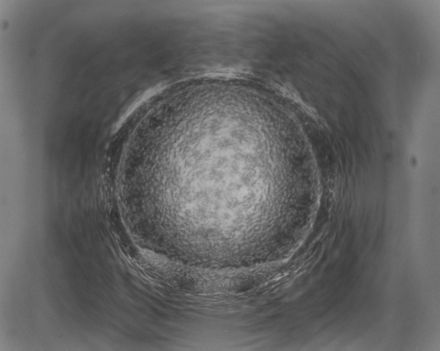 X0000084001256200702161124