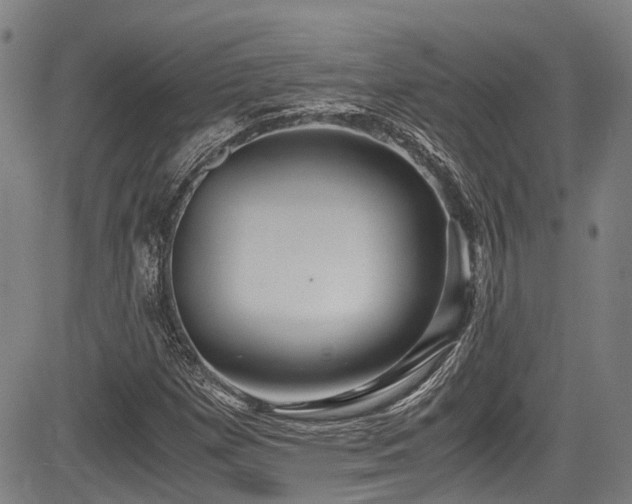 X0000084001257200702161124
