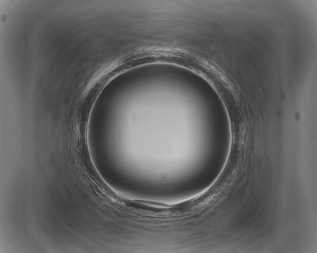 X0000084001261200702161124