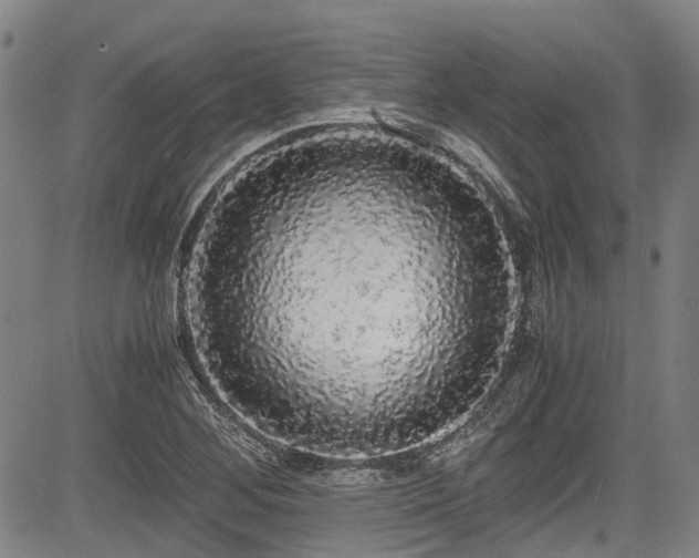 X0000084001268200702161124