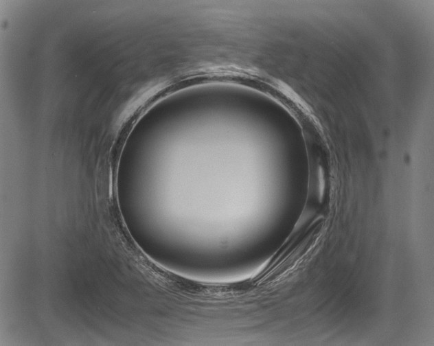 X0000084001269200702161124