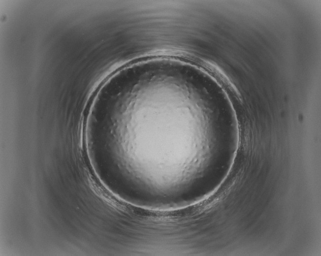 X0000084001276200702161123
